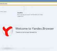 Sunetul dispare în Yandex.Browser - cauze posibile și soluții la problemă