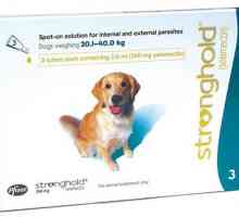 Medicament antiparazitar "Stronghold" (pentru câini)