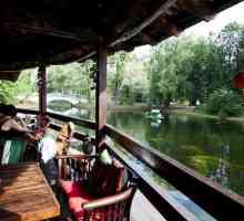 Petreceți o zi romantică și seara cu restaurantul `Lacul lebedelor`!