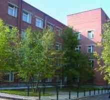 Spitalul de psihiatrie din Ekaterinburg (ruta Siberiană, 8 km): descriere, tipuri de asistență,…