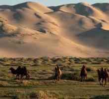 Desertul Gobi este nepotrivit și frumos