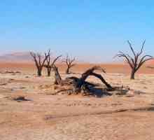 Desert: probleme de mediu, viața deșertului