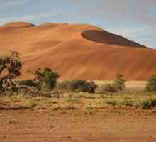 Namib Desert - atracția principală a Namibiei