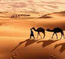 Deșertul Sahara: fotografii, date interesante, locație geografică