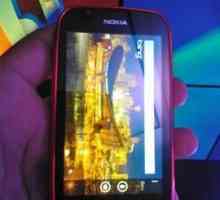 Considerăm în detaliu Nokia Lumia 610