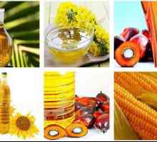 Uleiul vegetal - este cremos sau floarea-soarelui? Ce sunt uleiurile vegetale?