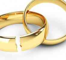 Dizolvarea căsătoriei în prezența copiilor minori: documente, procedură