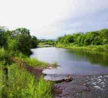 Râurile din Primorsky Krai: fotografie, descriere. Pescuitul în râurile din Primorsky Krai