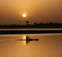 Regimul râului Niger: caracteristici caracteristice