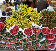 Piața de flori din Riga este la dispoziția dumneavoastră