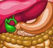 Rolul bilei în digestie. Descrieți funcția bilă în sistemul digestiv