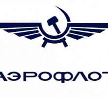 Companiile rusești - de la Dobroleta la Aeroflot