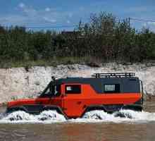 Vehicul rus pentru toate tipurile de teren `Shaman`: o nouă generație de vehicule…