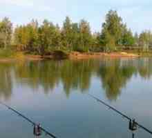 Pescuit în Masnova-Zhukovo: rapoarte, fotografii și recenzii