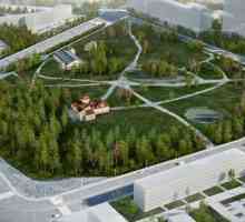 Сад Бенуа – новое культурно-образовательное пространство в Санкт-Петербурге
