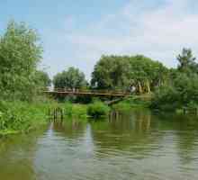 Cel mai mare afluent al râului. Seversky Donets - Oskol (râu)