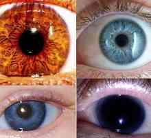 Cea mai rară culoare a ochilor - ce este?