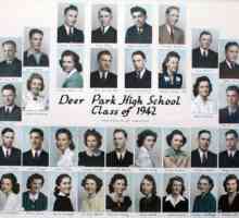 Scenariu de absolvenți ai reuniunii după 40 de ani: toasturi, felicitări, amintiri ale școlii