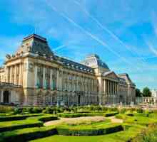 Album de familie al monarhilor: Palatul Regal, Bruxelles