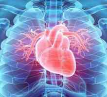 Supapele de inimă: descriere, structură, funcție și defecte