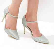 Pantofi argintii: descriere, modele, combinație de culori