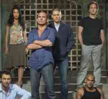 Seria `Escape`: Michael Scofield, biografie și descriere serie