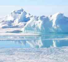 Polul Nord: cel mai nordic punct al planetei noastre