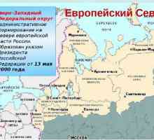 Regiunea de nord-vest a Rusiei: compoziție, geografie, resurse, caracteristici generale