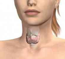 Glanda tiroidă a crescut: cauze și grade