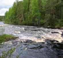 Shuya este un râu din Karelia. Descriere, aliaj, fotografie