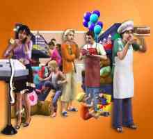 `Sims 2: Afaceri `. descriere