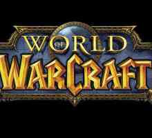 Cerința de sistem World of Warcraft: analiză detaliată
