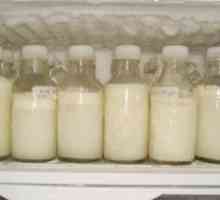Cât de mult laptele matern poate fi depozitat în frigider și cum se poate face acest lucru