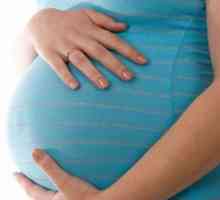 Câte săptămâni o femeie rămâne gravidă? Dăm răspunsul