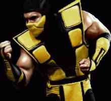 Scorpionul de la Mortal Combat "(foto). Mortal Combat: Scorpion vs. Sab-Zero