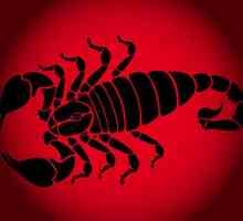Scorpion-Rat: o femeie ca reprezentant al acestei combinatii zodiacale