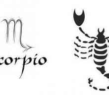 Scorpion: elemente ale semnei, compatibilitate