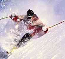 Slalom, slalom gigant, schi alpin