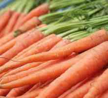 Suc de morcov: proprietăți utile și contraindicații, sfatul unui nutriționist
