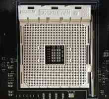 Socket-uri AMD: Prezentare generală, caracteristici și procesoare