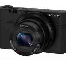 Sony RX100. Sony RX 100 Aparat foto digital - specificatii, preturi