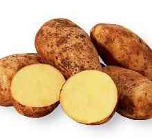 Varietatea de cartofi Scarb - randament ridicat și gust excelent