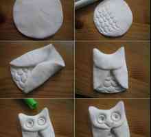 Owl din argilă polimerică: clasa master