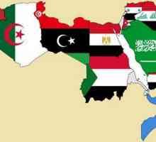 Lumea arabă modernă. Istoria lumii arabe