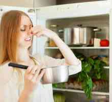Un absorbant modern de mirosuri pentru frigidere: spuneți "nu" la mirosurile străine!