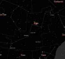 Constellation of Lynx: descriere, istorie, obiecte interesante