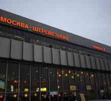 Lista aeroporturilor din Moscova: pasageri, teste, militare