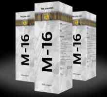 Spray M16: comentarii și instrucțiuni