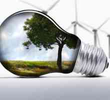 Consumul mediu de energie electrică de către aparatele de uz casnic: caracteristici de calcul și…