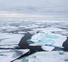 Adâncimea medie a Oceanului Arctic, relieful de jos și clima